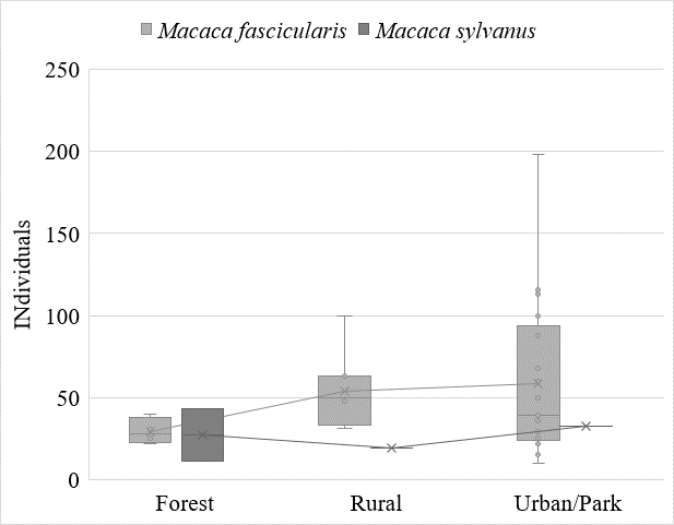 Figure 4 Box-and-whisker plot showing trend for group size correlated with habitat, where urban/park groups have largest group size, rural moderate, and forest smallest. Few data points for M. sylvanus.